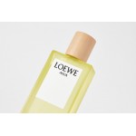 Loewe Agua