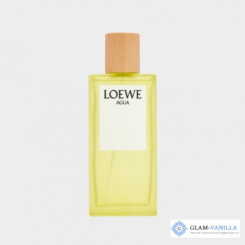 Loewe Agua